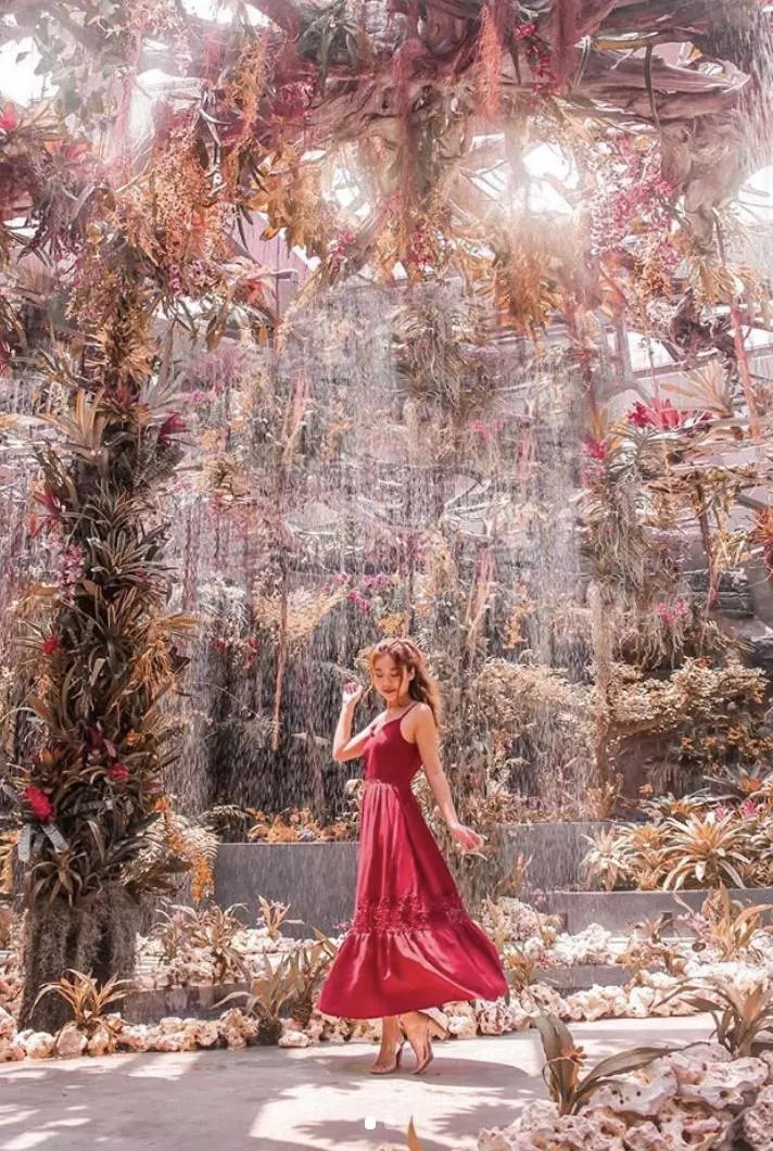 2019 新加坡必去景點,花仙子的夢幻世界,無敵美的超級樹!