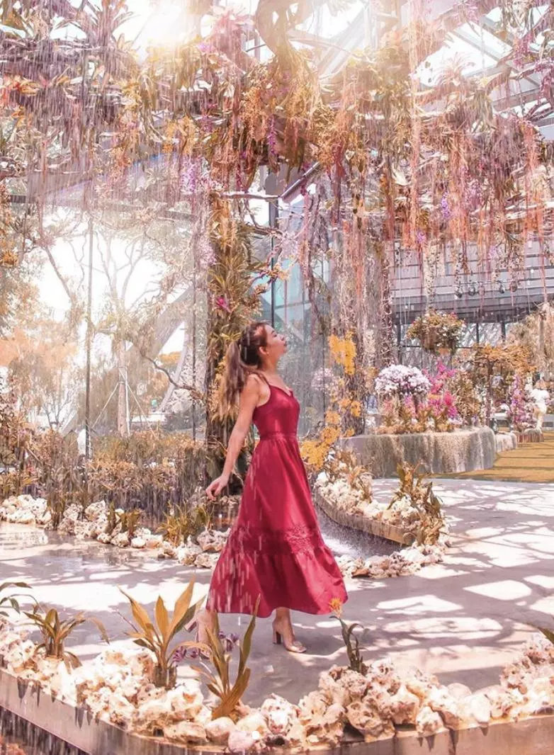 2019 新加坡必去景點,花仙子的夢幻世界,無敵美的超級樹!