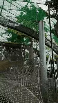 下個月,你可千萬別來新加坡星耀樟宜!因為幾百人湧入,要擠爆了~