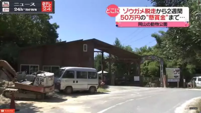 極速追緝令!巨龜從日本動物園逃脫 兩個禮拜後發現才逃了「140公尺」!