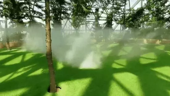 下個月,你可千萬別來新加坡星耀樟宜!因為幾百人湧入,要擠爆了~