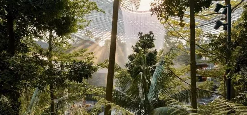 下個月,你可千萬別來新加坡星耀樟宜!因為幾百人湧入,要擠爆了~