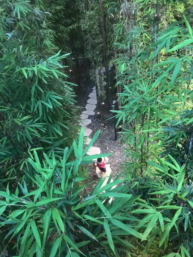 下個月,你可千萬別來新加坡星耀樟宜!因為幾百人湧入,要擠爆了~