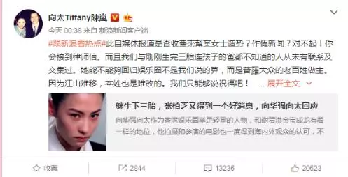 向太狠批張柏芝:說謊成癮自己都相信了,心理有點扭曲,你信誰?