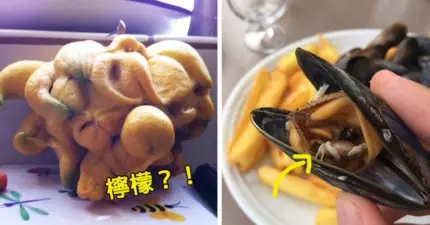 18個已經決定「不用人類也能進化」的惡魔WTF食物。