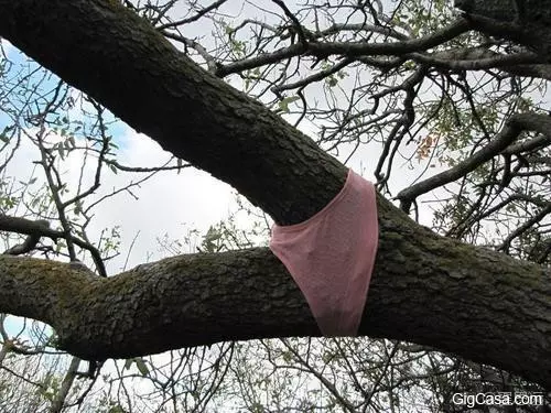 28張看完後保正你會笑到肚子疼的讓笑圖片