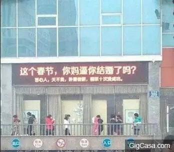 34讓你目不轉睛的內涵圖片