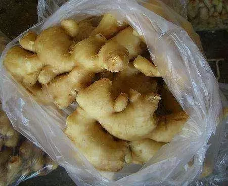 原來保存生薑這麼簡單,只用這一個妙招,生薑不幹不壞能吃上一年