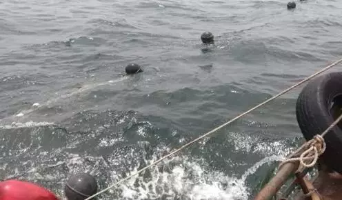 520沒送禮女友氣噗噗 土豪男友砸300萬「買一片海」…網傻眼:最荒謬禮物