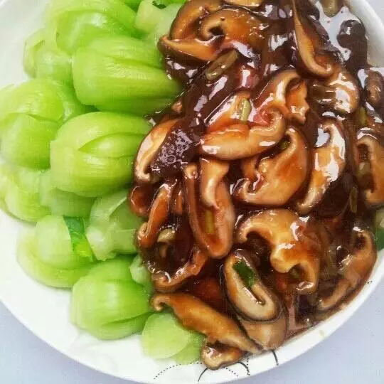 操作簡單,美味無敵的9道快手菜,吃上一口,就讓人直流口水!