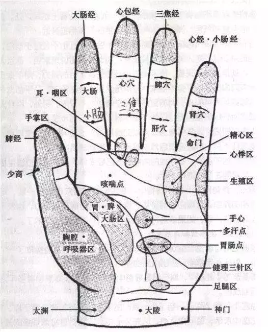 每天按摩小拇指50次,堅持一段時間,腰不疼、腿不酸了,連頭髮也烏黑了,不用去染髮