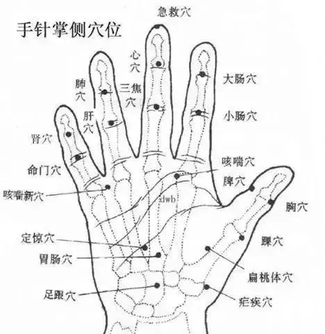 每天按摩小拇指50次,堅持一段時間,腰不疼、腿不酸了,連頭髮也烏黑了,不用去染髮