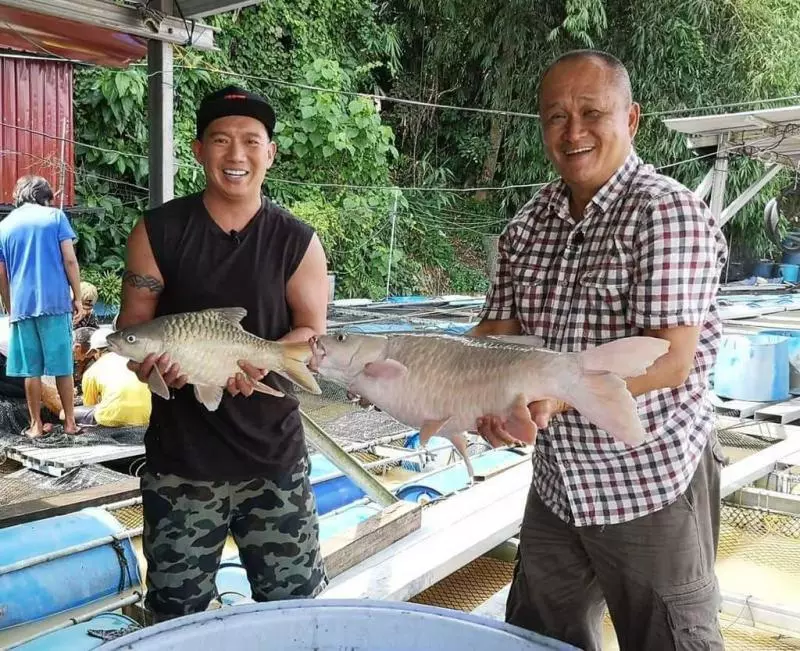 發掘馬拉人未知的美食 杜汶澤帶團入住萬呎渡假屋豪華遊