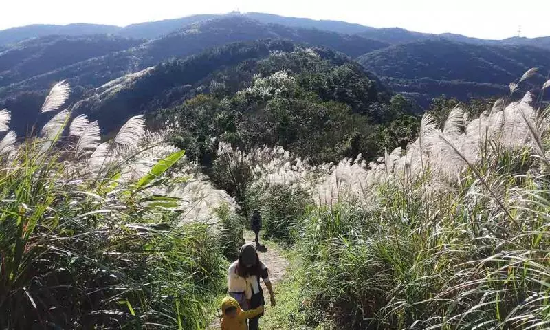 全台20條好入門的步道