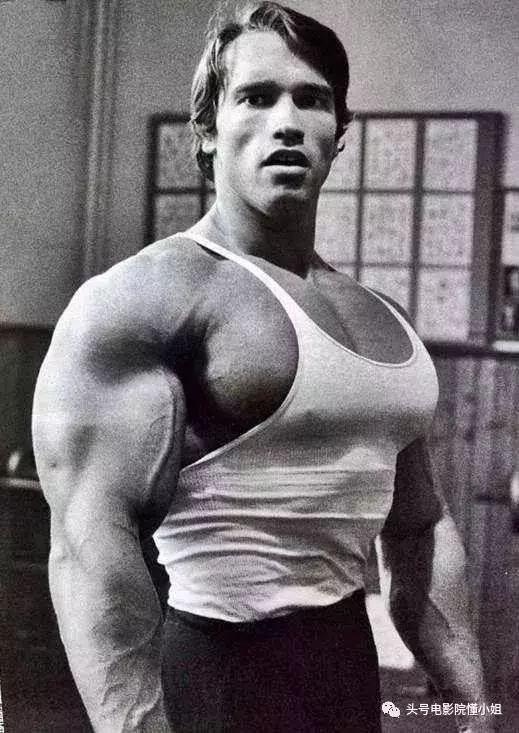 70歲了還能打!史泰龍和施瓦辛格新片雙雙歸來,這兩位「大爺」先隔空開戰!