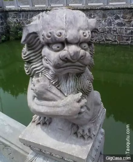 31張看完會讓你立馬噴飯的趣圖