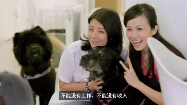 賈靜雯承認感情上一頭沖!親自揭開8年前離婚傷疤,稱回憶太傷痛~~~