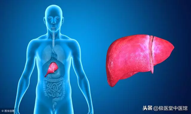 當心脂肪肝變肝癌!5招教你消除脂肪肝秘訣!