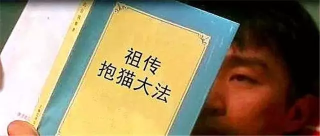 貓咪最討厭的三種抱法,扼住後脖頸原是錯誤行為,胖貓會因此受傷
