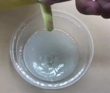 家裡老鼠太多別著急,撒點這個在地上,老鼠來多少滅多少,一隻也跑不了