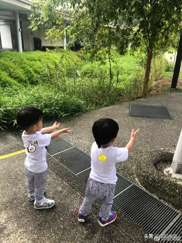 45歲楊采妮事業與愛情都順利,生得一對雙胞胎,相夫教子很幸福!