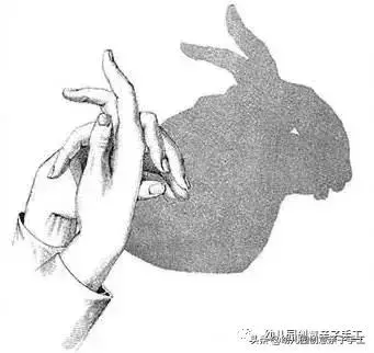 手影遊戲的各種新玩法，不錯不錯！