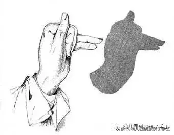 手影遊戲的各種新玩法，不錯不錯！