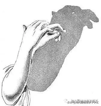 手影遊戲的各種新玩法，不錯不錯！