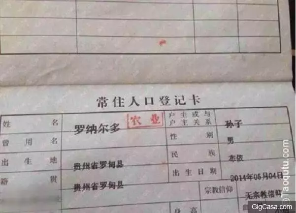 33張肯定會笑破你肚皮的內涵圖