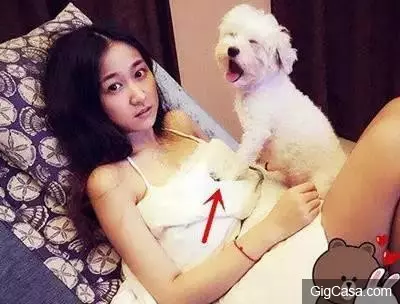20張保證會讓你笑到噴飯的內涵圖