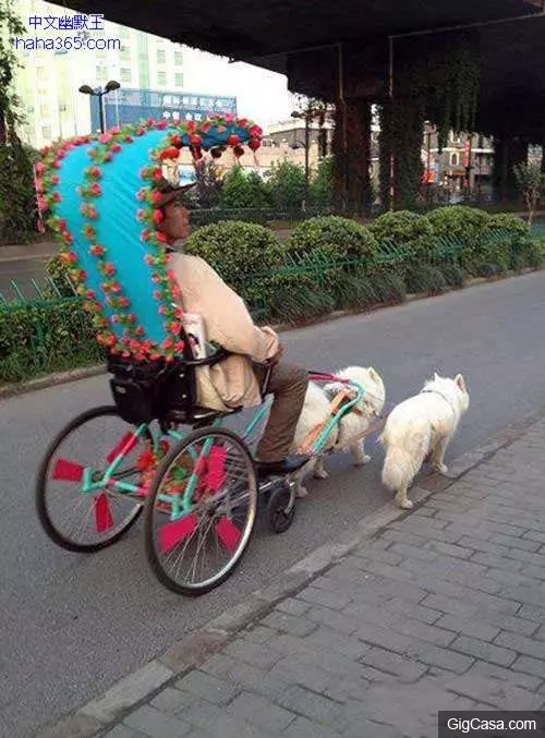 23張肯定會讓你瞬間腦洞大開的搞怪內涵圖