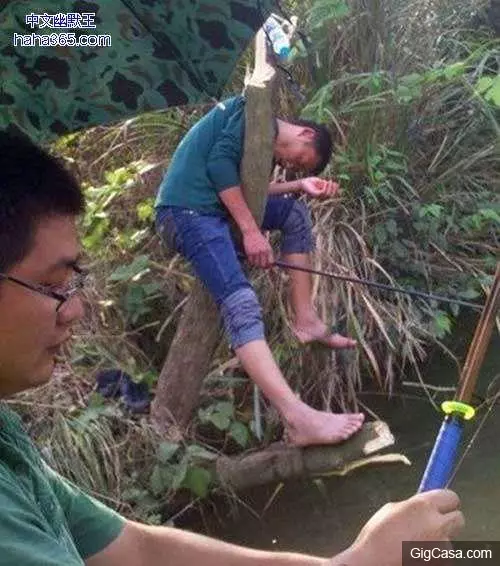 23張肯定會讓你瞬間腦洞大開的搞怪內涵圖