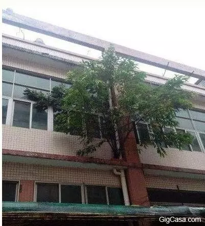 23張肯定會讓你瞬間腦洞大開的搞怪內涵圖