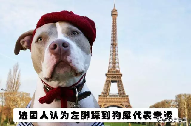 13個不同國家所相信的事情 但會讓其他國家的人感到怪異