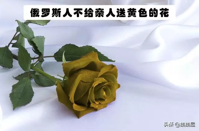 13個不同國家所相信的事情 但會讓其他國家的人感到怪異