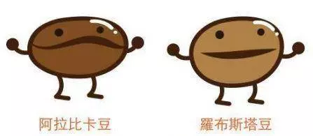 愛喝咖啡的你,不能不知道的八個咖啡小知識!