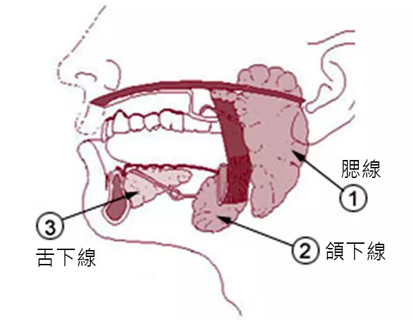 男子舌頭腫脹數日,伸手一擠竟然跑出一條超嚇人的「蟲」?!真是太噁心了!