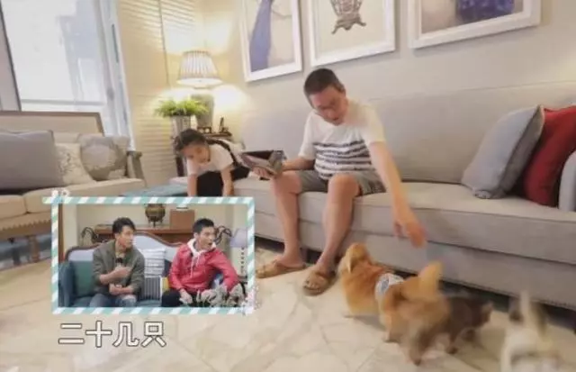 從郭碧婷的家就能看出,向太為什麼如此中意她了,這樣的媳婦不多