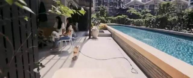 從郭碧婷的家就能看出,向太為什麼如此中意她了,這樣的媳婦不多