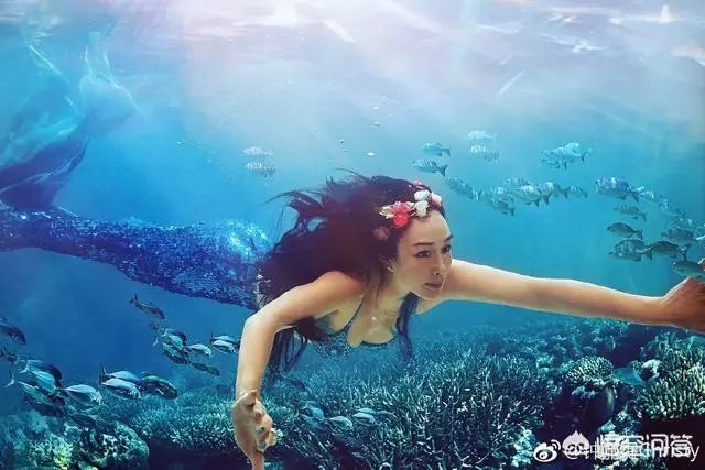 49歲的鐘麗緹想為婆婆生孫子:請不要為了留住婚姻難為自己的子宮