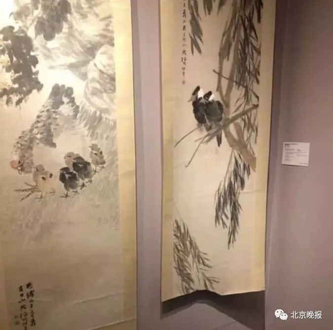 獸醫將魚皮作為移植物,將嚴重燒傷的羅威納犬從生命邊緣拉回