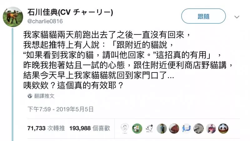 把家貓養到太大隻! 網驚呼「這是獅子吧?!」 奴才笑PO「胖喵照」超可愛