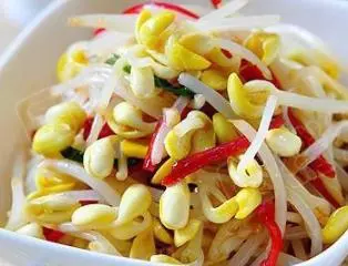 豆芽菜的20種做法,好吃又健康,上桌3分鐘光碟,常吃孩子長得高