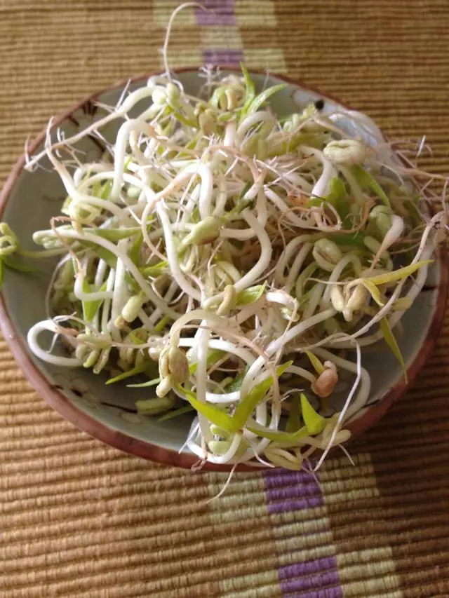 豆芽菜的20種做法,好吃又健康,上桌3分鐘光碟,常吃孩子長得高