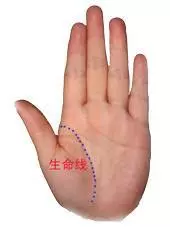 男左女右,伸出手掌,教你「手相看一生命運」很準哦!