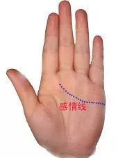 男左女右,伸出手掌,教你「手相看一生命運」很準哦!