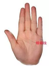 男左女右,伸出手掌,教你「手相看一生命運」很準哦!