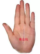 男左女右,伸出手掌,教你「手相看一生命運」很準哦!