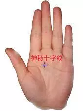 男左女右,伸出手掌,教你「手相看一生命運」很準哦!