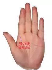 男左女右,伸出手掌,教你「手相看一生命運」很準哦!